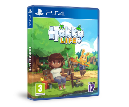 Gra PS4 PlayStation Hokko life